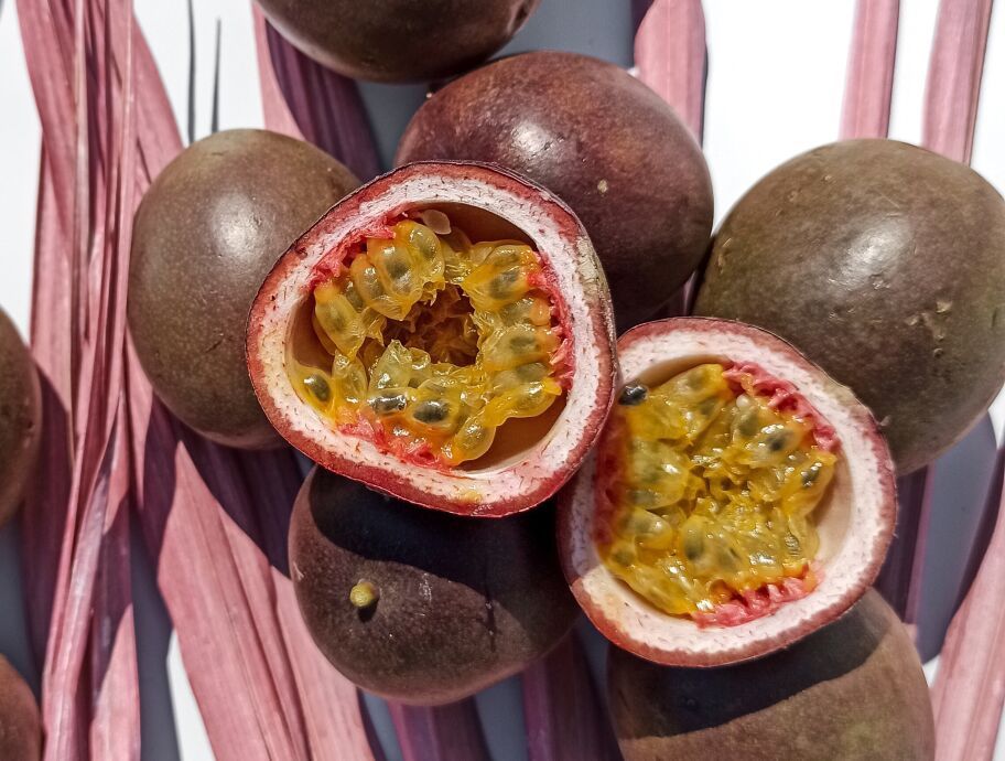 Саджанці маракуї пасифлора їстівна