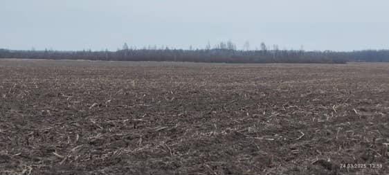 Продам рілля 3.27га торг