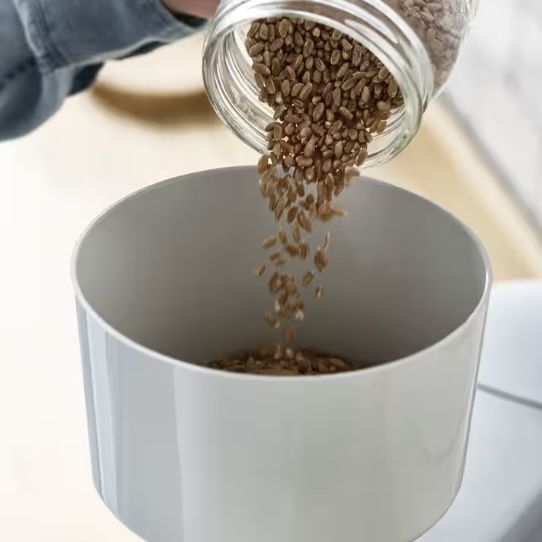 Acessório de moinho de grãos KAX941PL