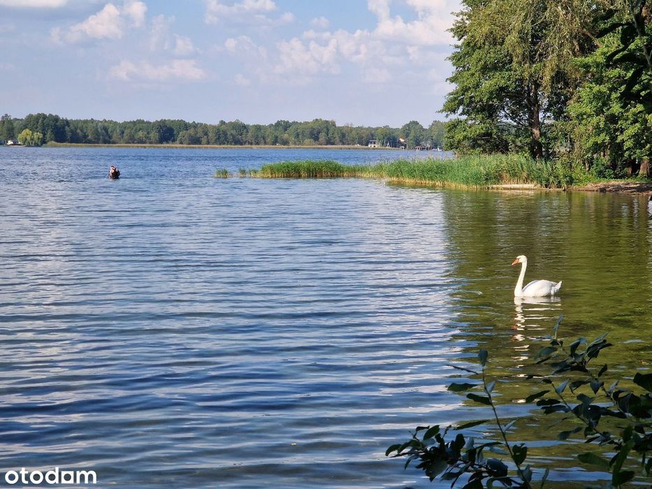 NOWA OFERTA. Na sprzedaż domek w Boszkowie.