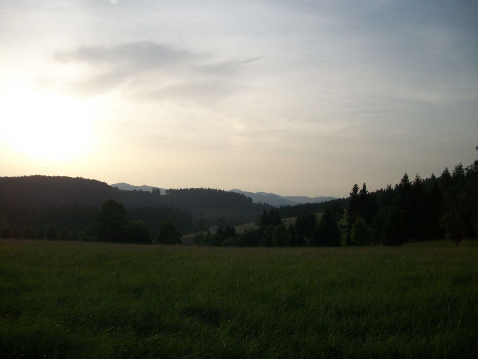 działka  w Bartnicy na sprzedaż