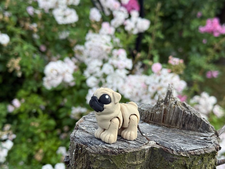 Mini Mops 3D – ruchoma, przegubowa mini figurka psa, Minimals, zabawka, pies