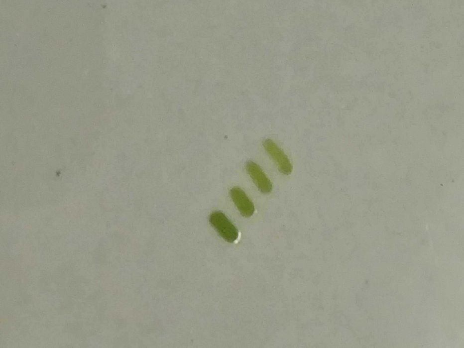 Travessa grande loiça de sacavem antiga