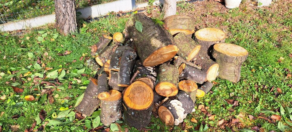 Owocowa  Wiśnia kawałki