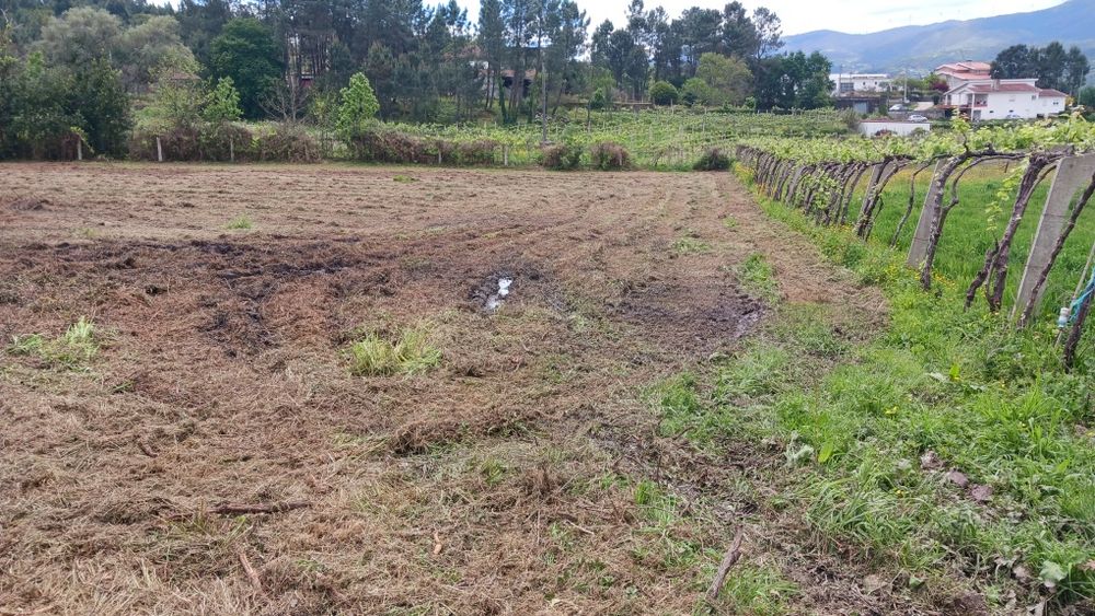 Terreno Rustico Ceivães e Badim