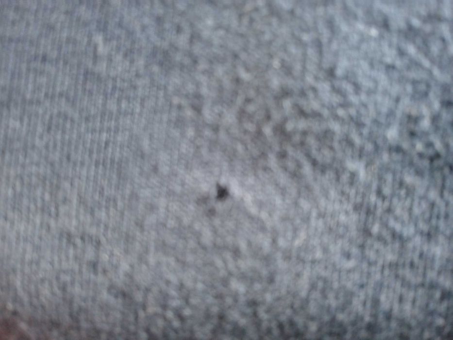 5 bluzek, H&M, Królik Bugs, Tom&Jerry, Looney Tunes, r 110/116, Szkoła