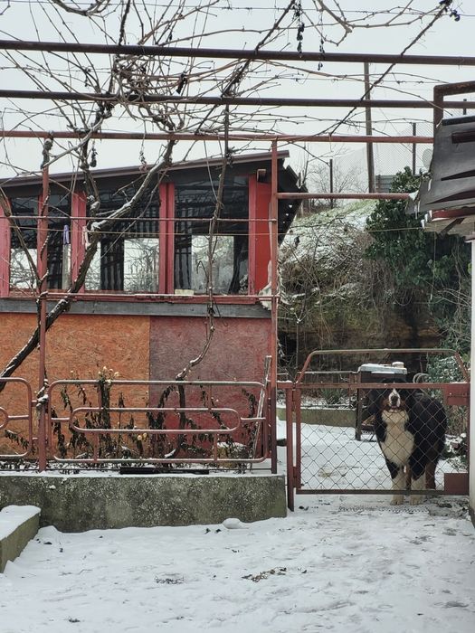 Дом по адресу ул. Китобойная (площадь 104 м²) - Atlanta.ua - фото 5