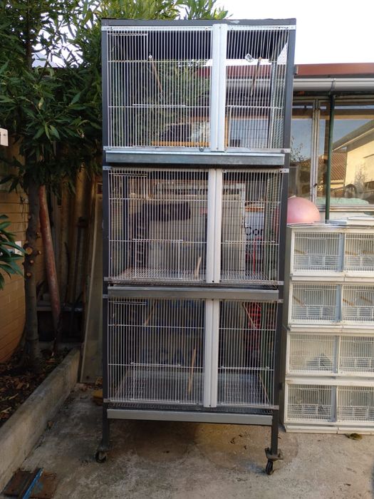 Viveiros/ gaiolas para passaros