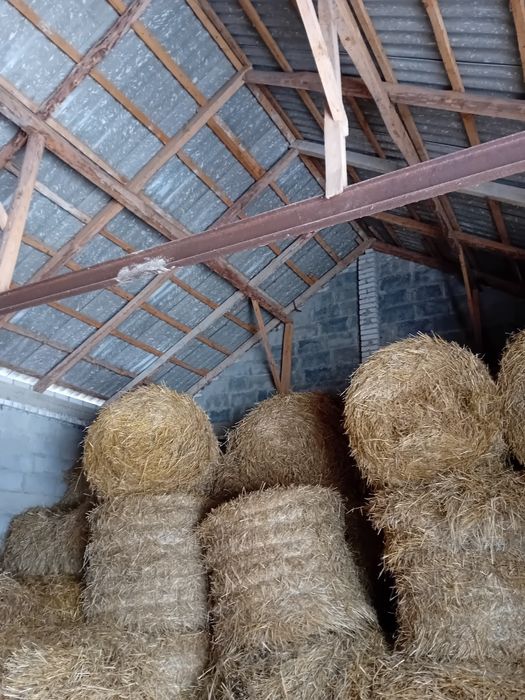 Sprzedam słome Żytnią