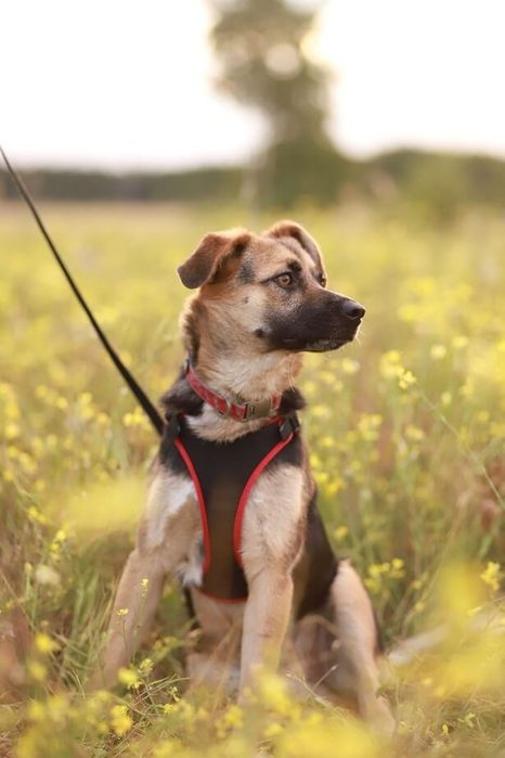 Czy zauważysz mnie? Otworzysz na mnie serce?