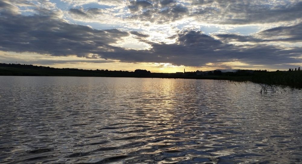 Продам став озеро