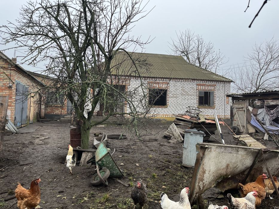 Продаю 2 будинка зручностями передмісті м Долинська на площі 50 соток