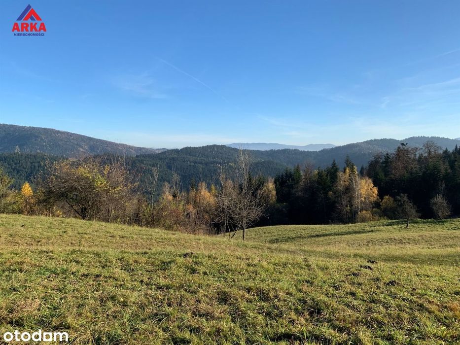 Wyrębiska Szczawskie - Twoja enklawa na 780m n.p.m