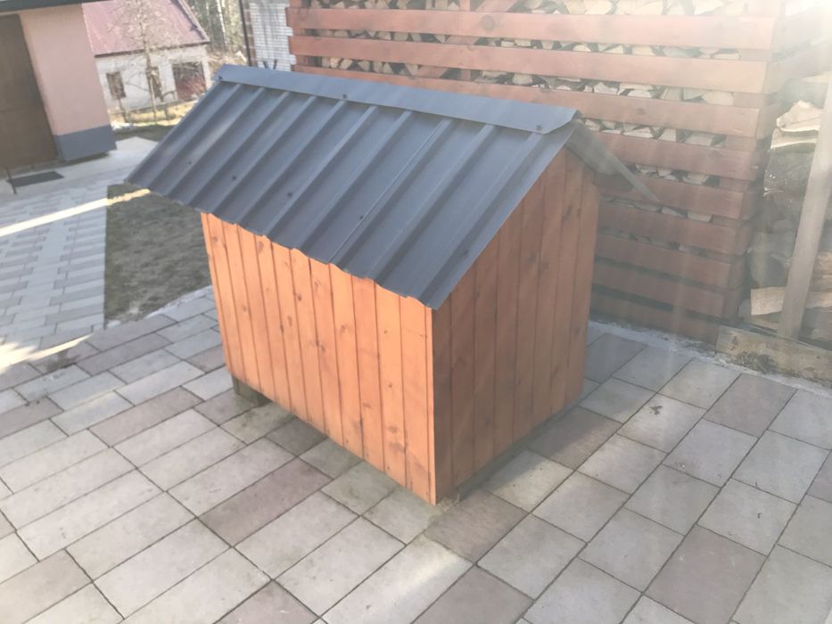 Буда для собаки.