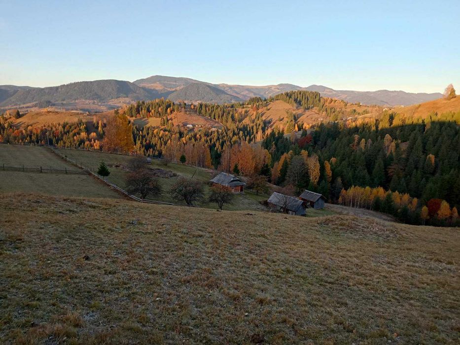 Продаж ділянки у Карпатах (Верховинський район)