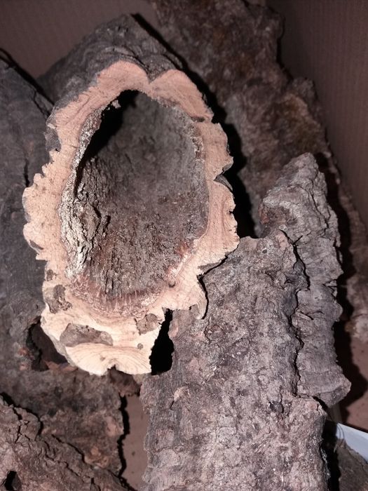 Ozdoby terrarystyczne kora korzenie ceramika rośliny