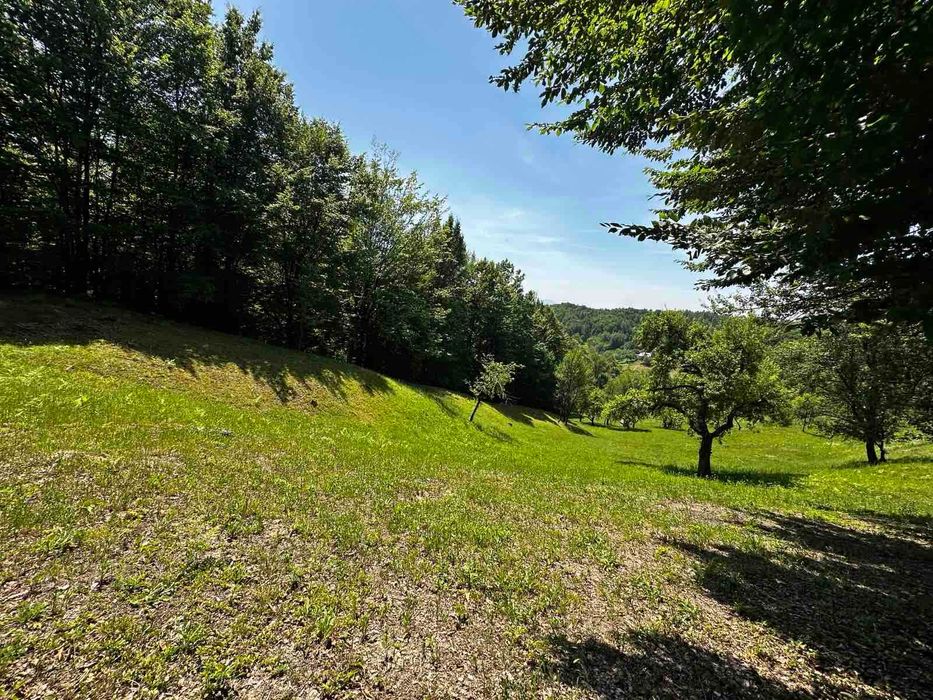 Продається старий будинок з великою земельною ділянкою