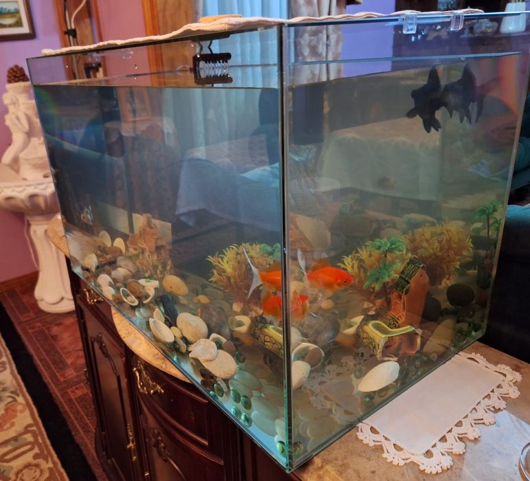 Aquário 80 Litros – Excelente Estado (60x35x38cm)