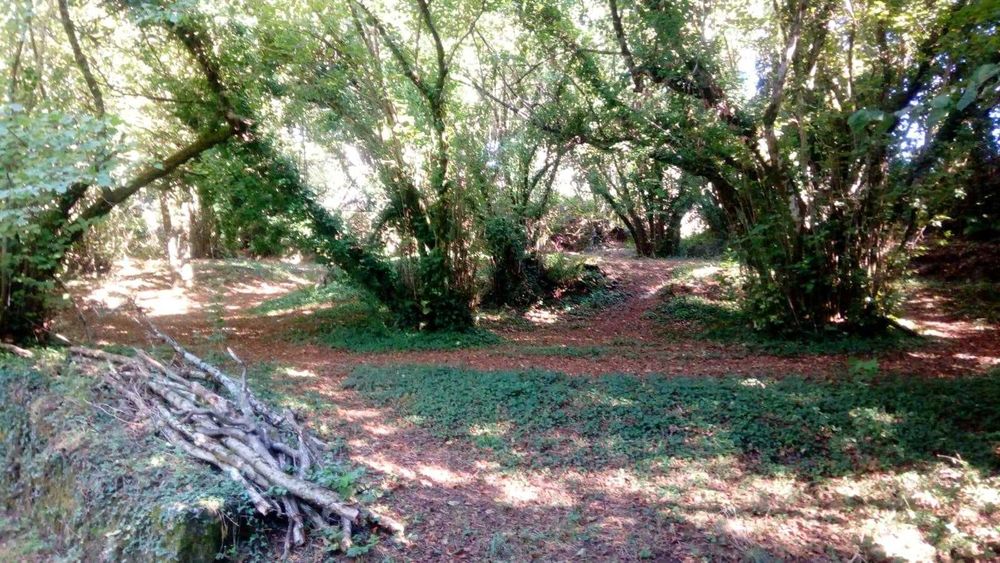 Quinta da Póvoa da Medronhosa, Repeses e São Salvador, Viseu