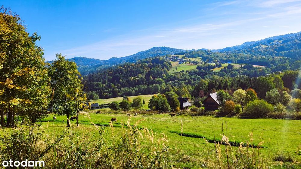 Istebna | 4000 m² | Złoty Groń | REZERWACJA