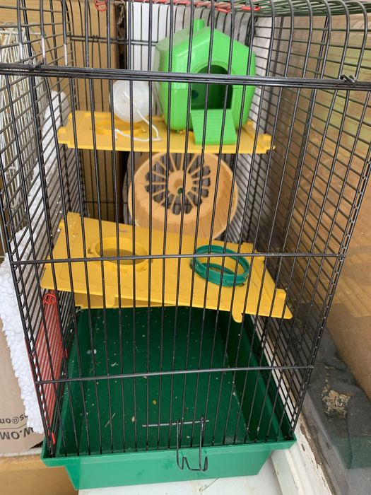 Джунгарські хоміки .Кліточки