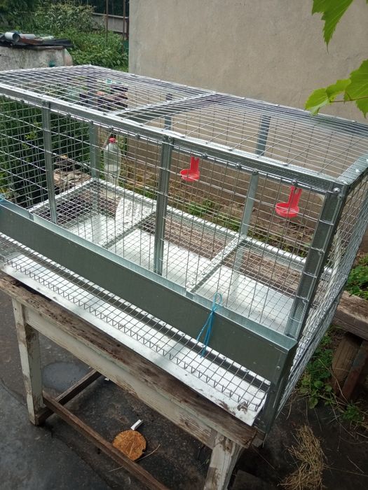 клетки для бройлеров и кур-несушек