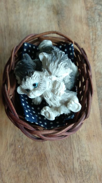 Kotki w wiklinowym koszu