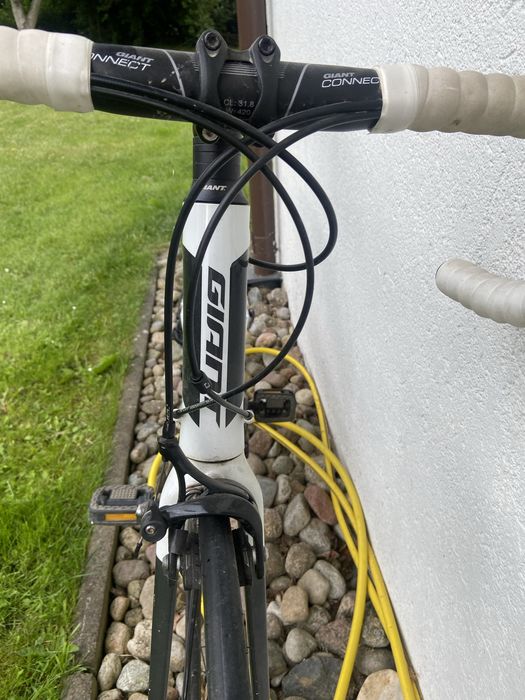 Giant Defy ALUXX ML | Shimano 105 | Gotowy do jazdy