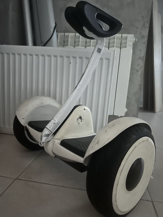 Гераскуторы . В хорошем состоянии.