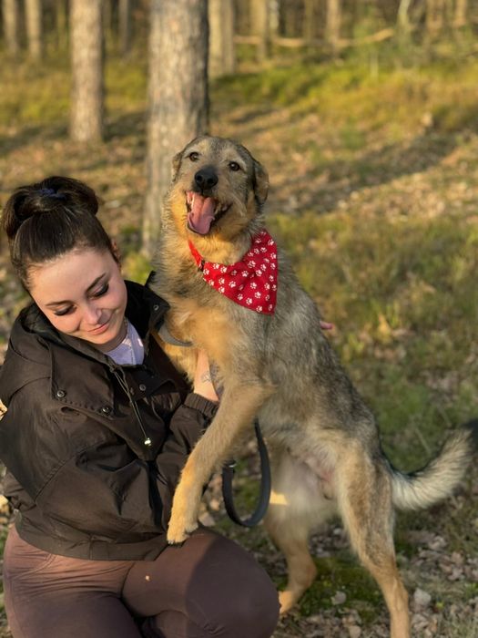 Moris około 3 latek szyka domu