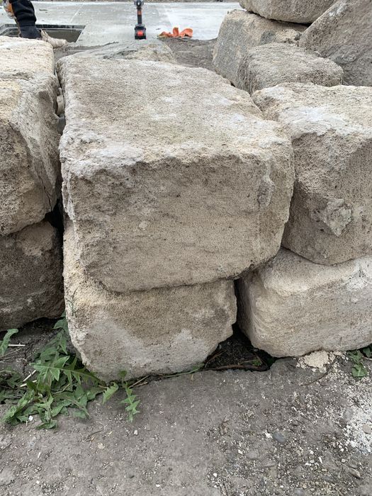Продам ракуш | Самовивіз