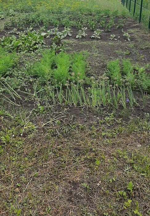 Предлагаю часть дома в центре Чугуева