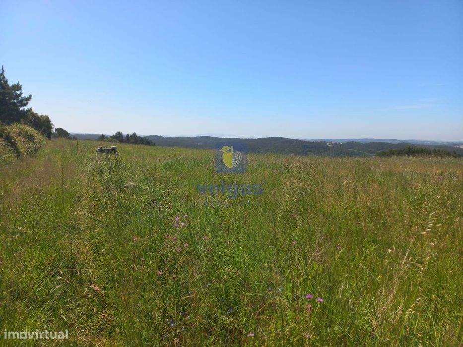 Incrível Terreno Rústico de 30.000 m², localizado nas Cruzes - Salir — Salir de Matos, Leiria