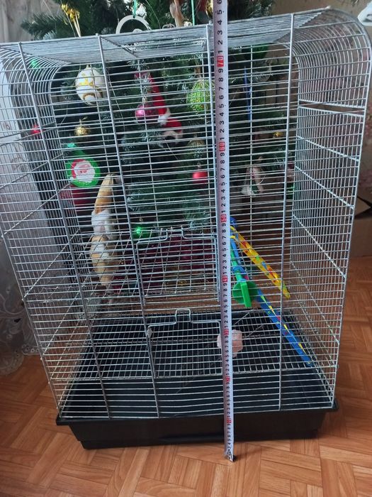 Клітка для гризунів