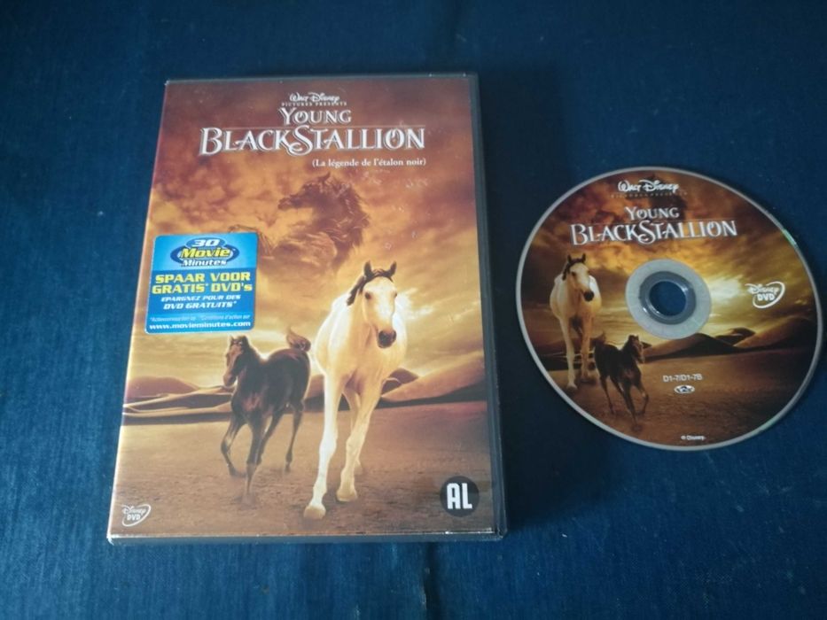 Young Black Stallion DVD (leg port)