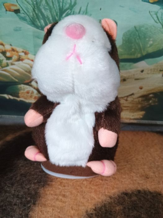 Tylko 33 zł Chomik gaduła rusza się i powtarza wszystko co się do nieg