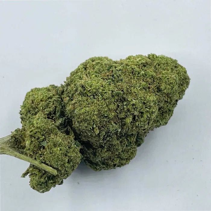 Susz konopny CBD Bubblegum 1kg 4800 zł/kg.