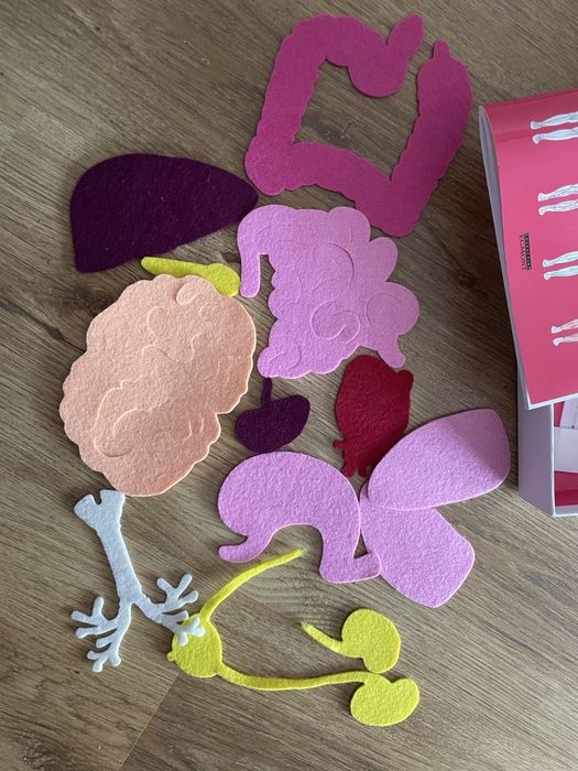 Biblioteczka Montessori Ciało człowieka Egmont