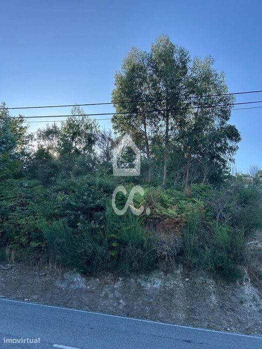 Terreno para construção, Frazão e Arreigada, Paços de Ferreira