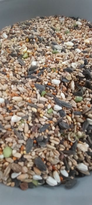 Mix ziaren 25 kg super cena papuga kura bażant gołąb