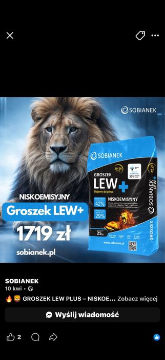 Lew sobianek groszek  5-25
