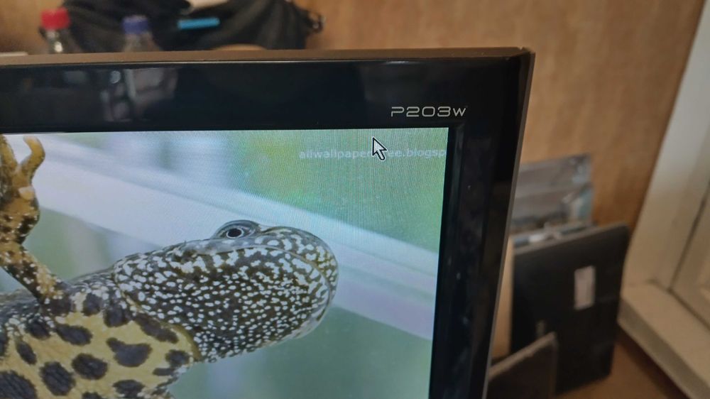 Acer P203W жк монитор 20 дюймов