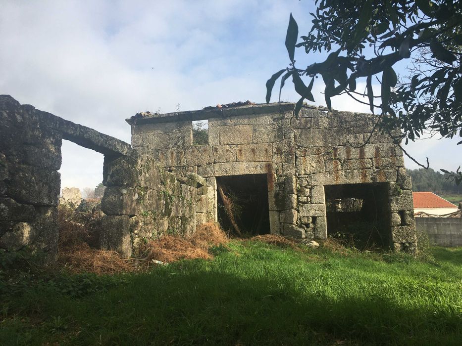 Quinta Paradisíaca !