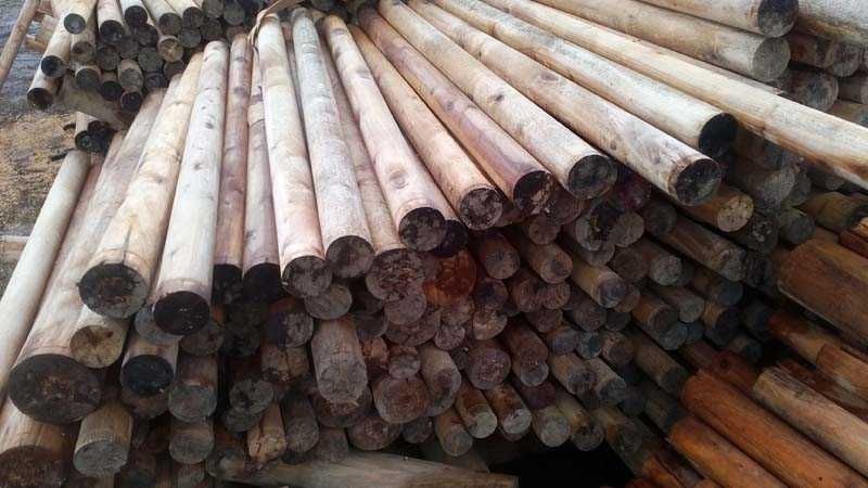 Дрова! Фанерні Олівці. Осередок деревини. для паркану. від виробника!