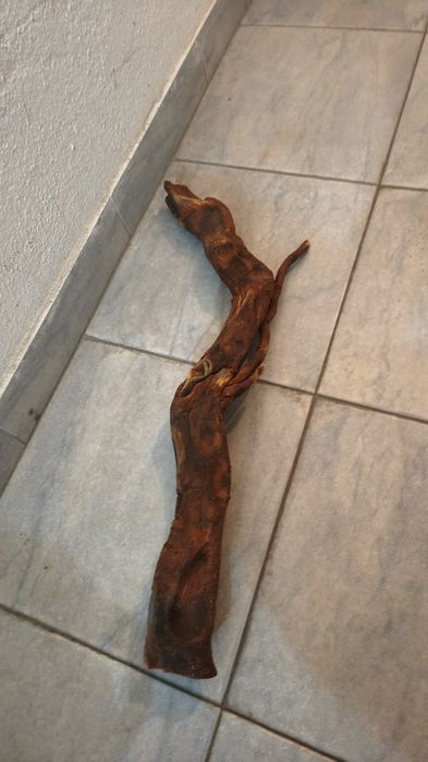 Tronco natural para aquário