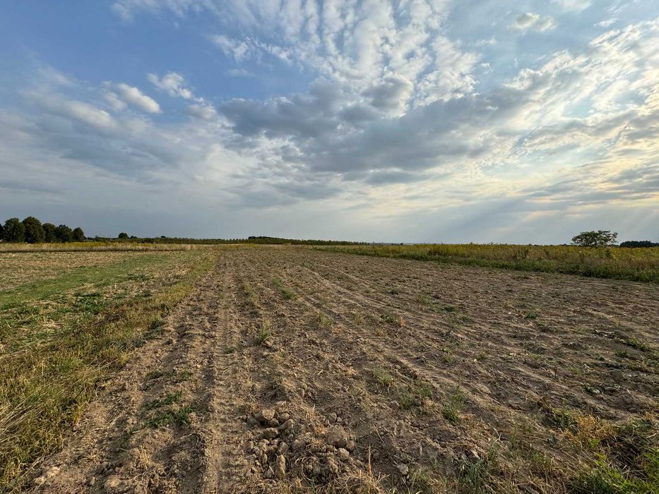 Продам земельну ділянку