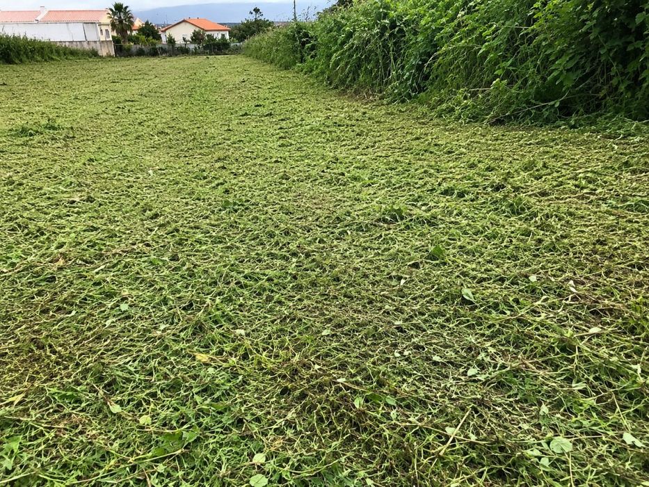 Desmatação de ervas e silvas com roçadora