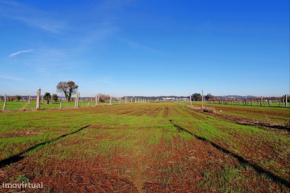Terreno  Venda em Bougado (São Martinho e Santiago),Trofa
