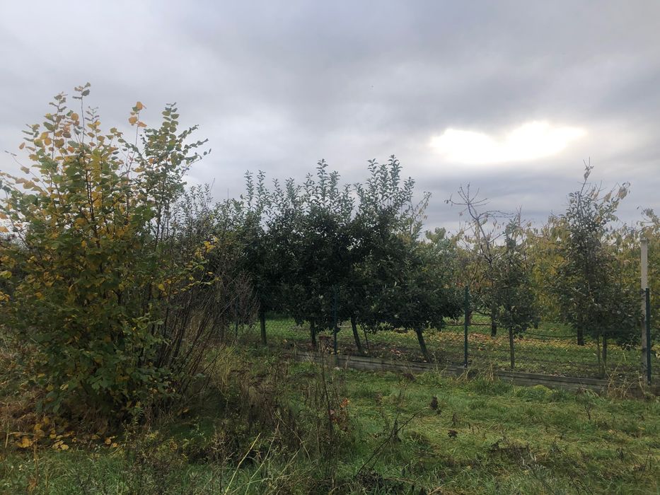 Mochle działka 879 mkw - bezpośrednio - Więcej