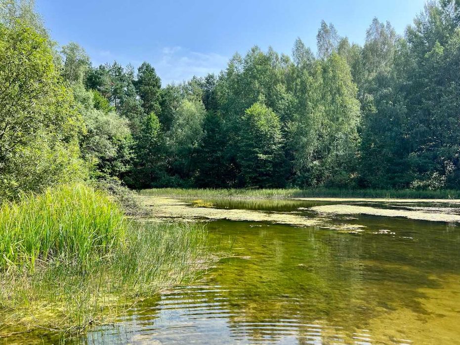 Działka budowlana z MPZP – oaza spokoju, tylko godzinę od Warszawy! - Widok 4